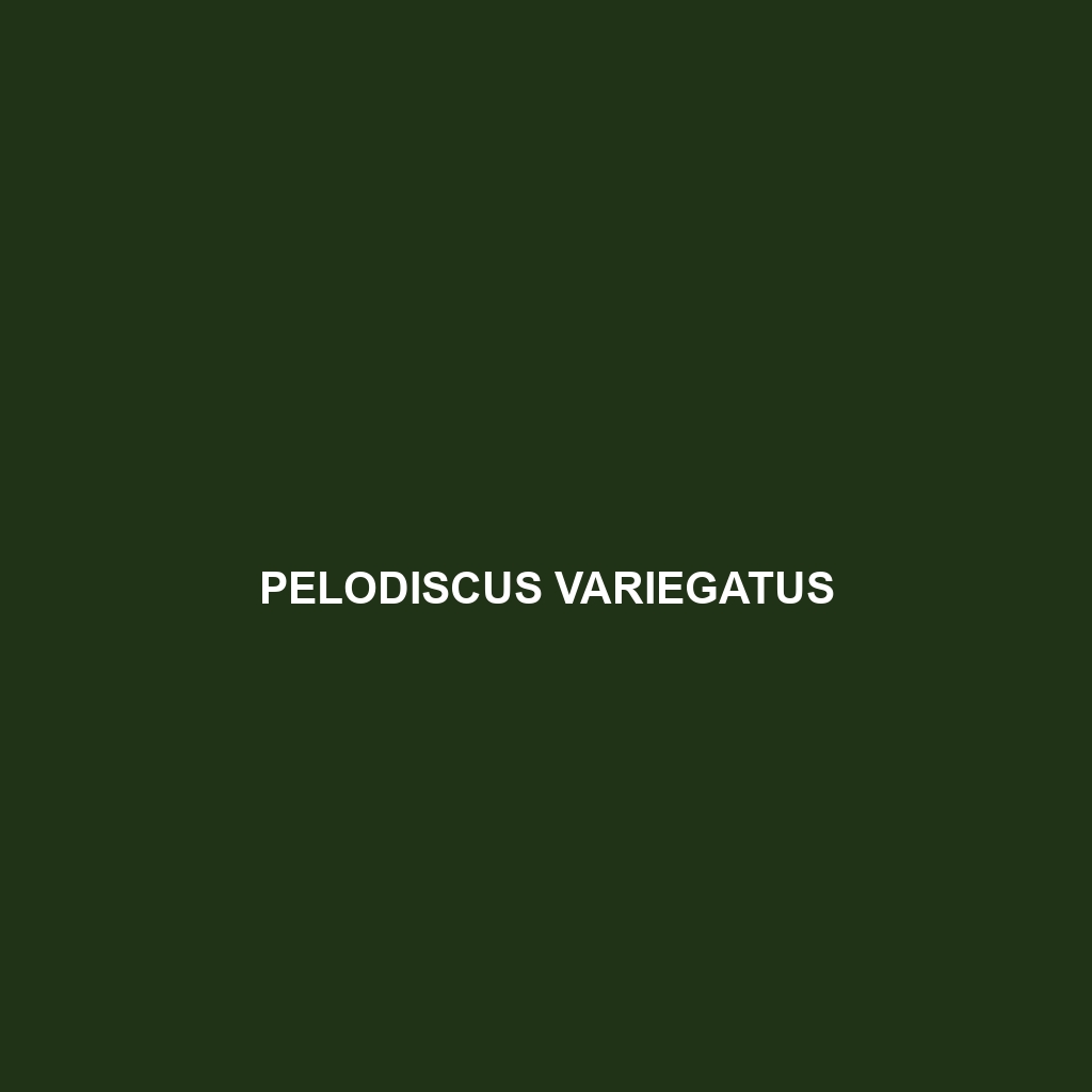 Pelodiscus variegatus