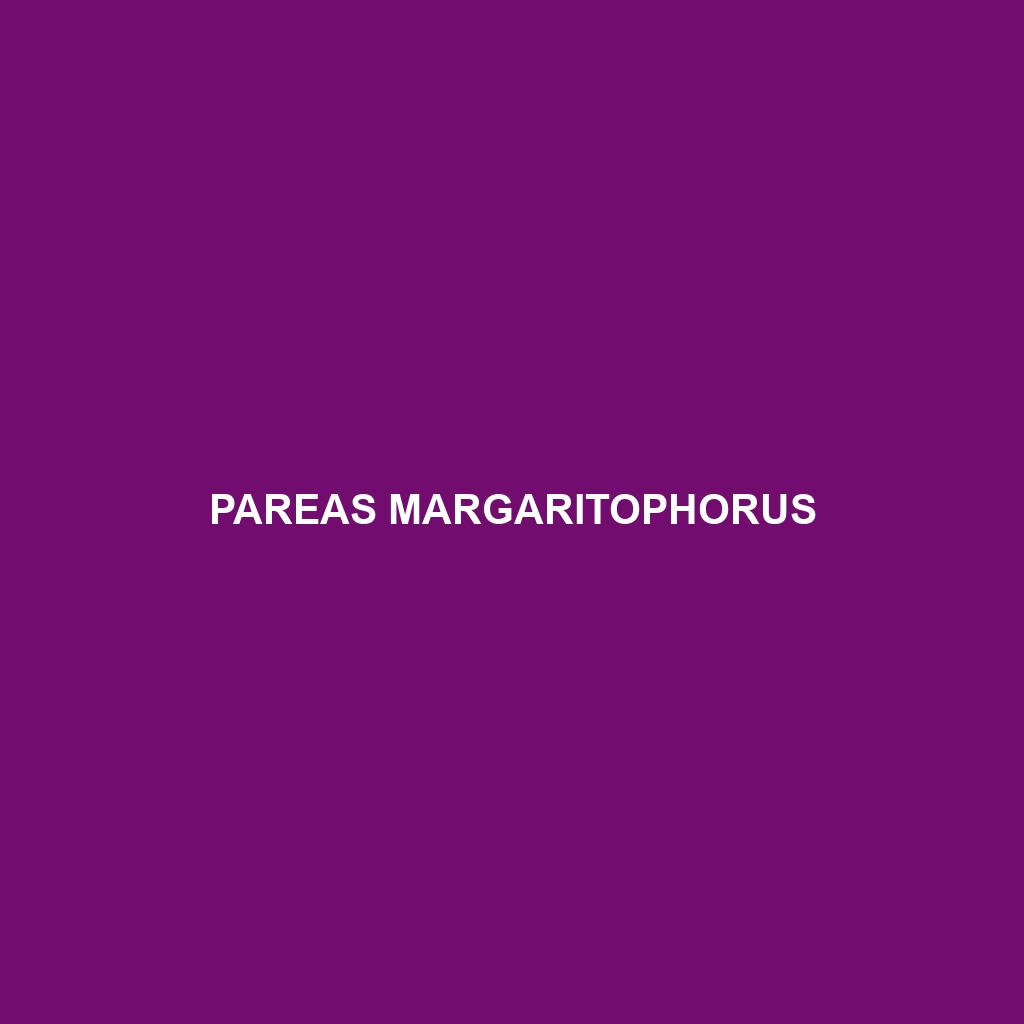 Pareas margaritophorus