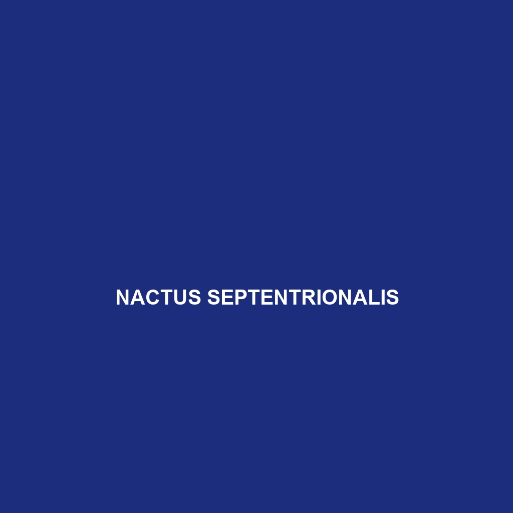 Nactus septentrionalis