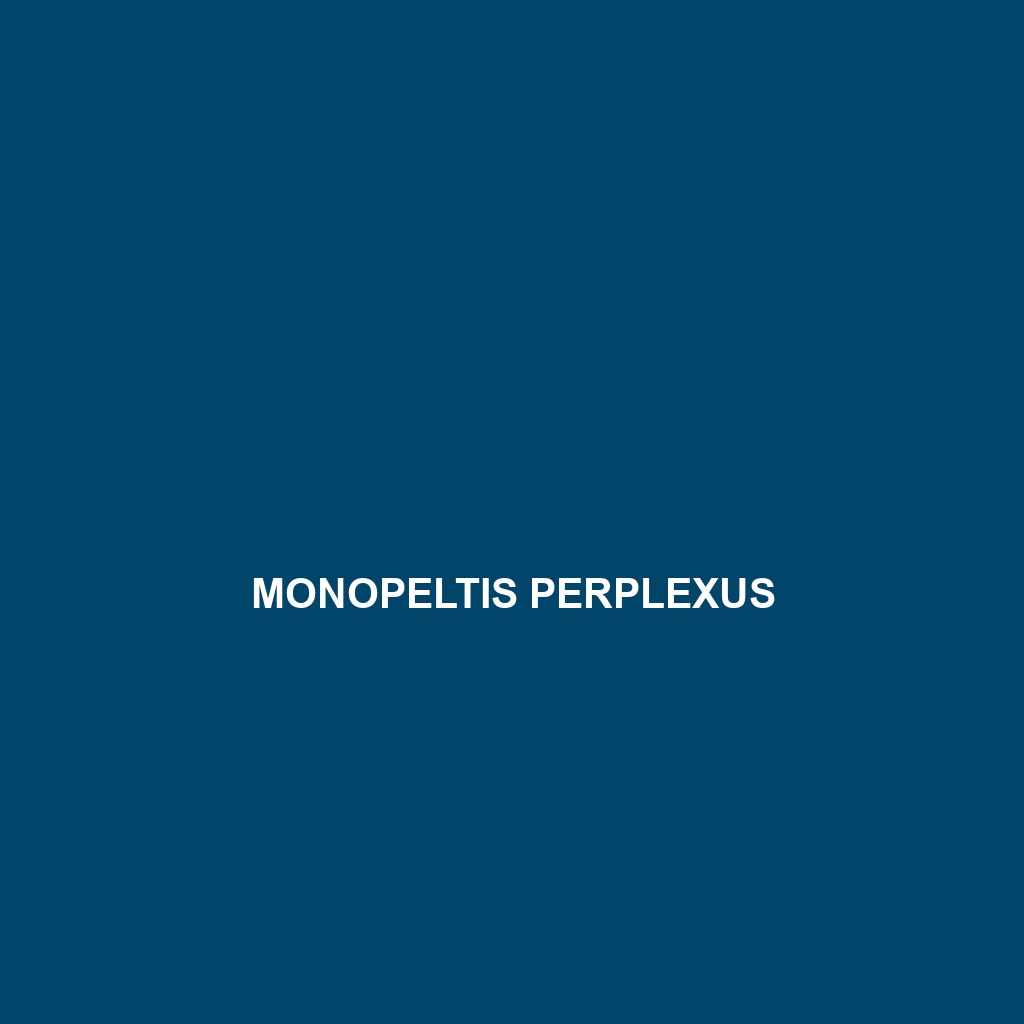 Monopeltis perplexus