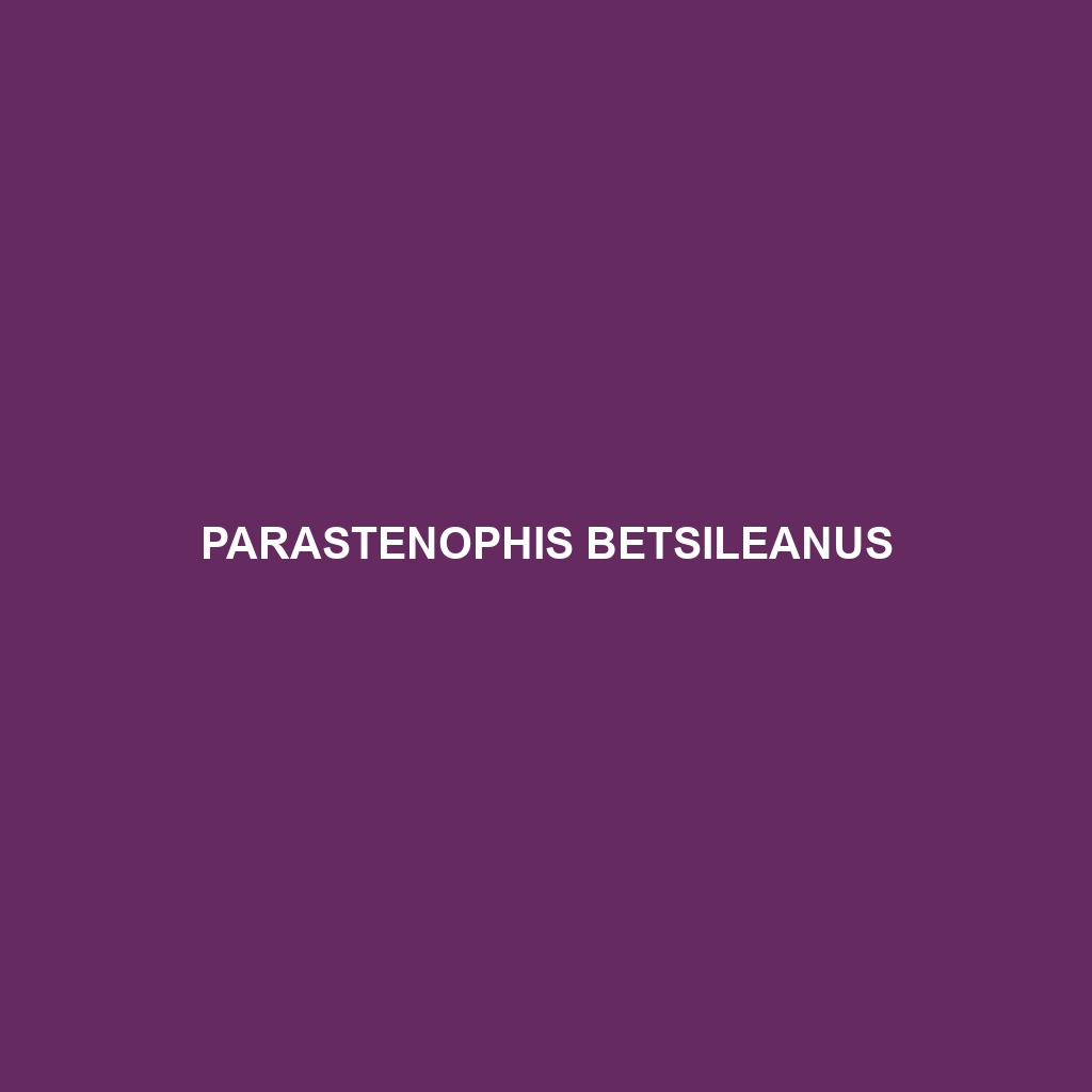 Parastenophis betsileanus