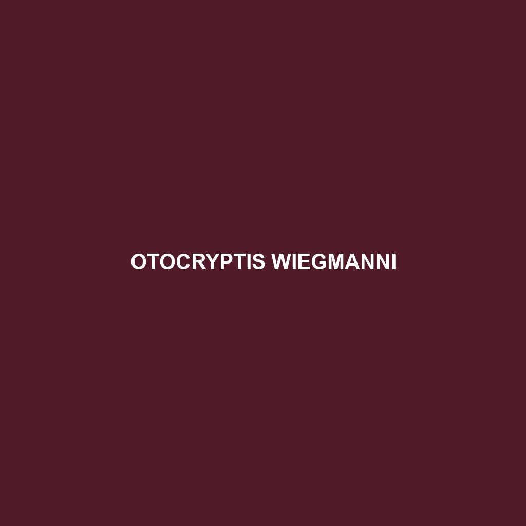 Otocryptis wiegmanni