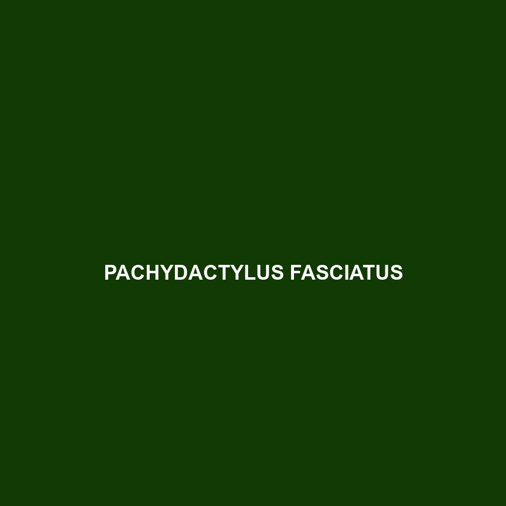 Pachydactylus fasciatus