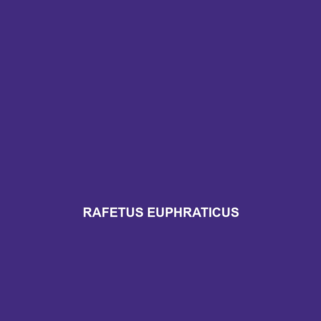 Rafetus euphraticus