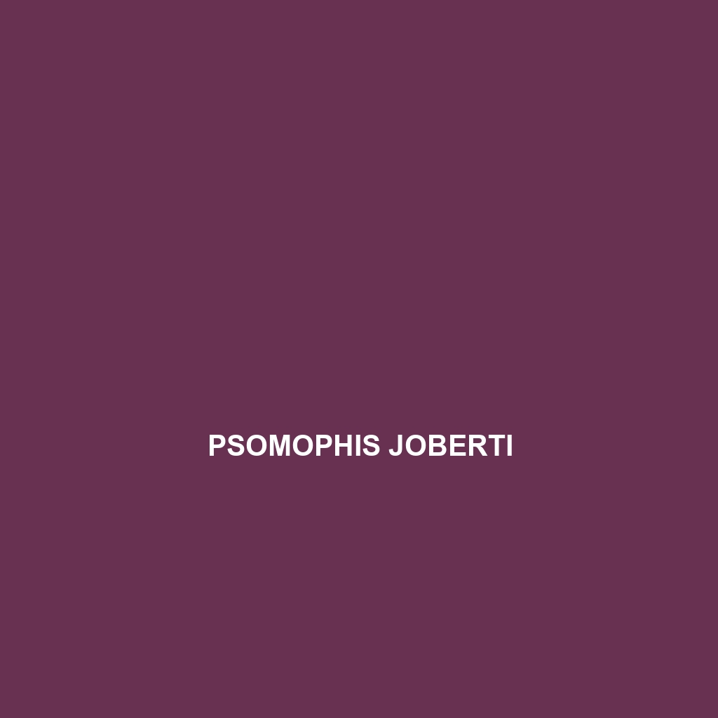 Psomophis joberti