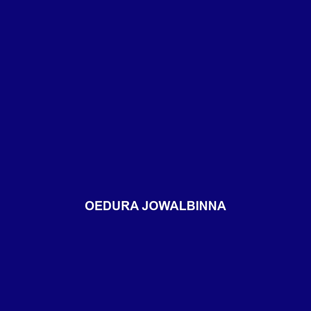 Oedura jowalbinna