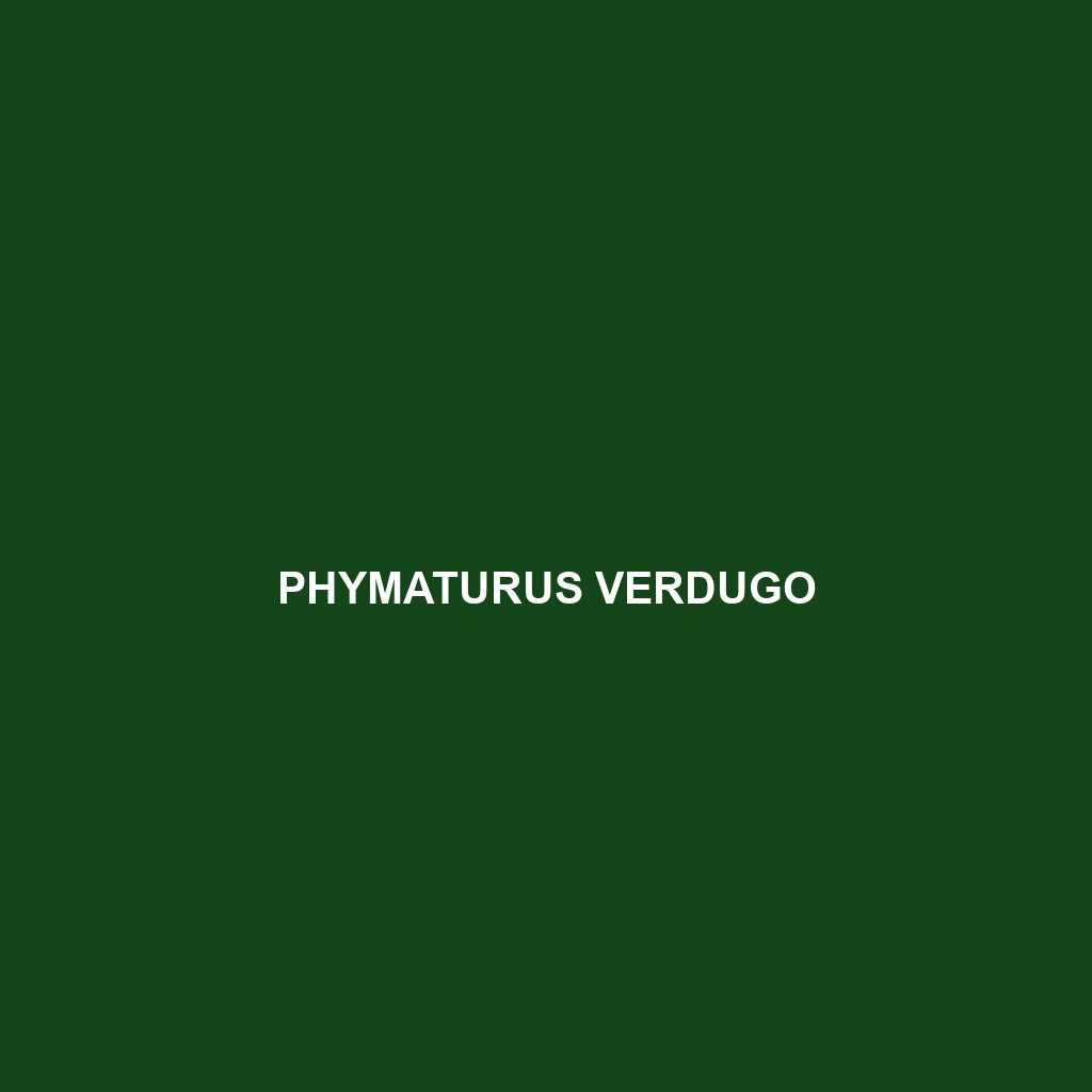 Phymaturus verdugo