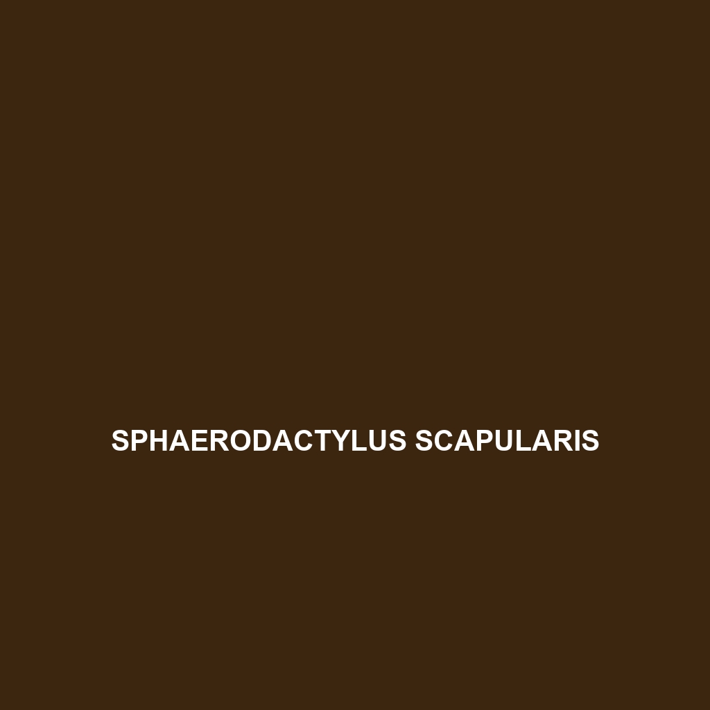 Sphaerodactylus scapularis