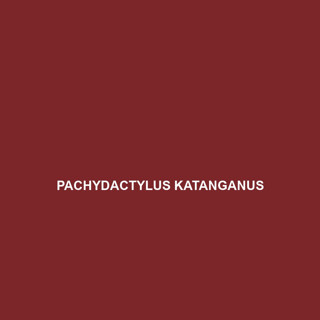 Pachydactylus katanganus