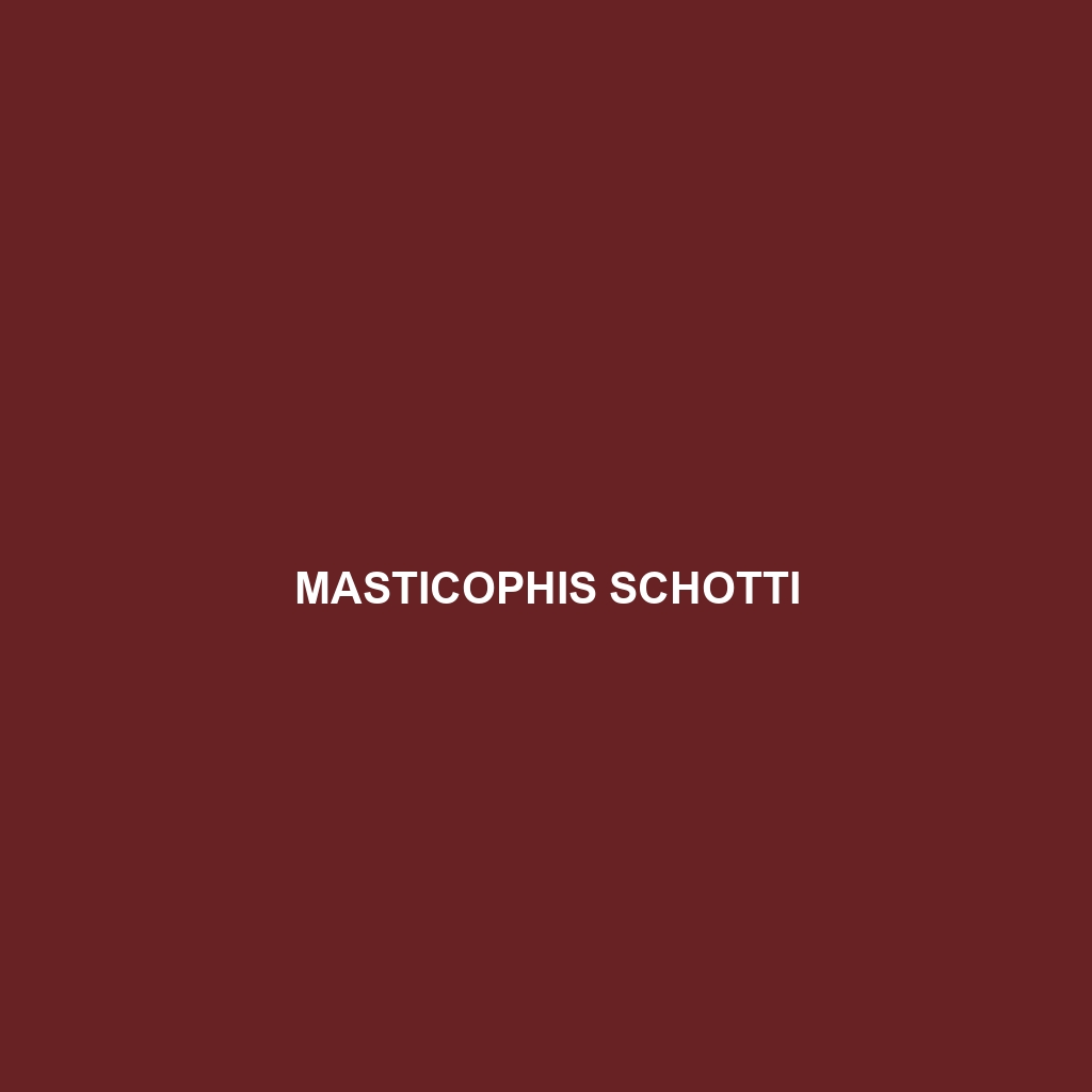 Masticophis schotti