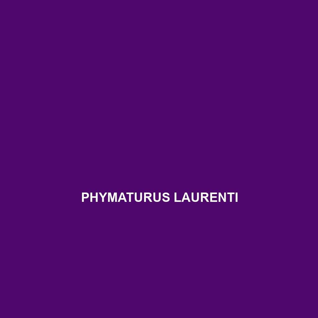 Phymaturus laurenti