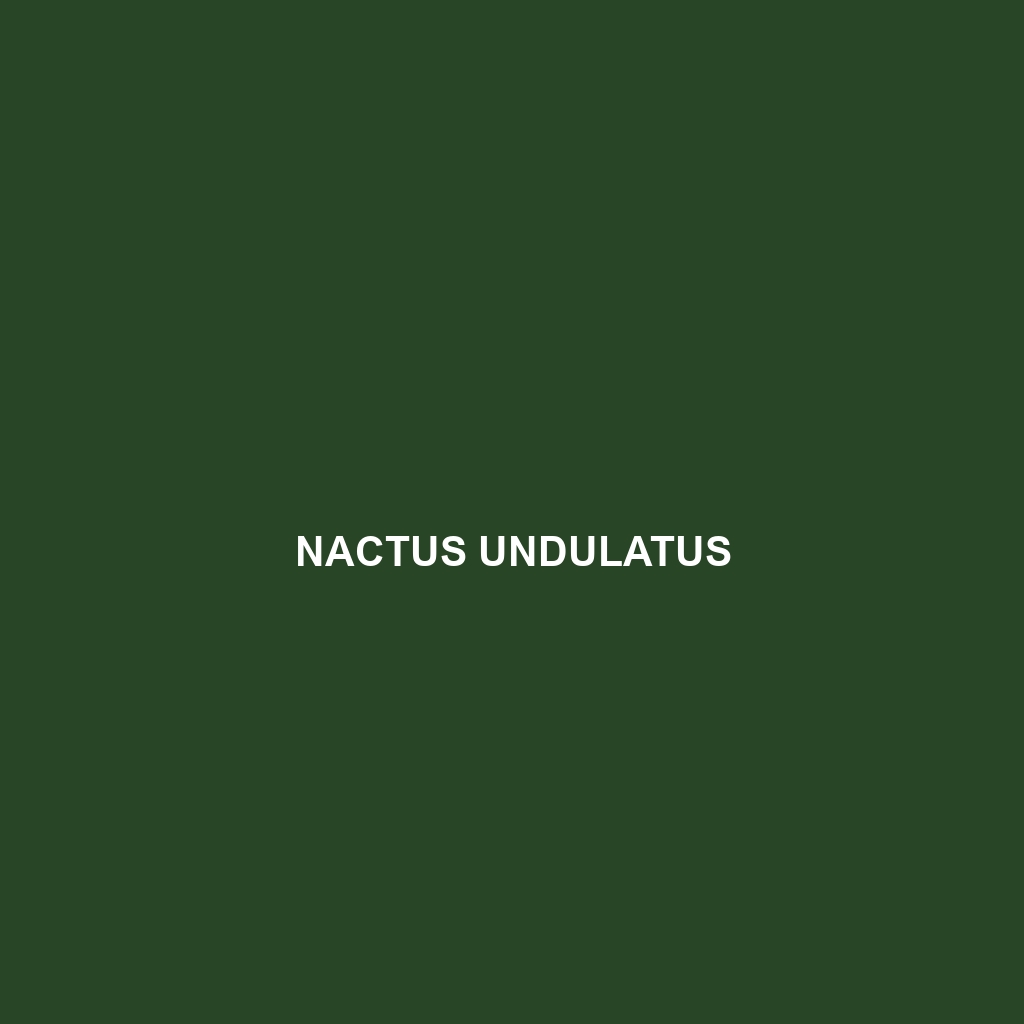 Nactus undulatus