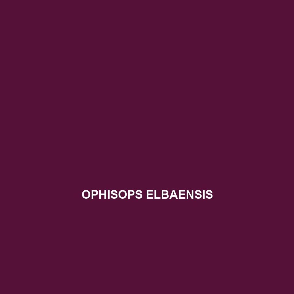 Ophisops elbaensis