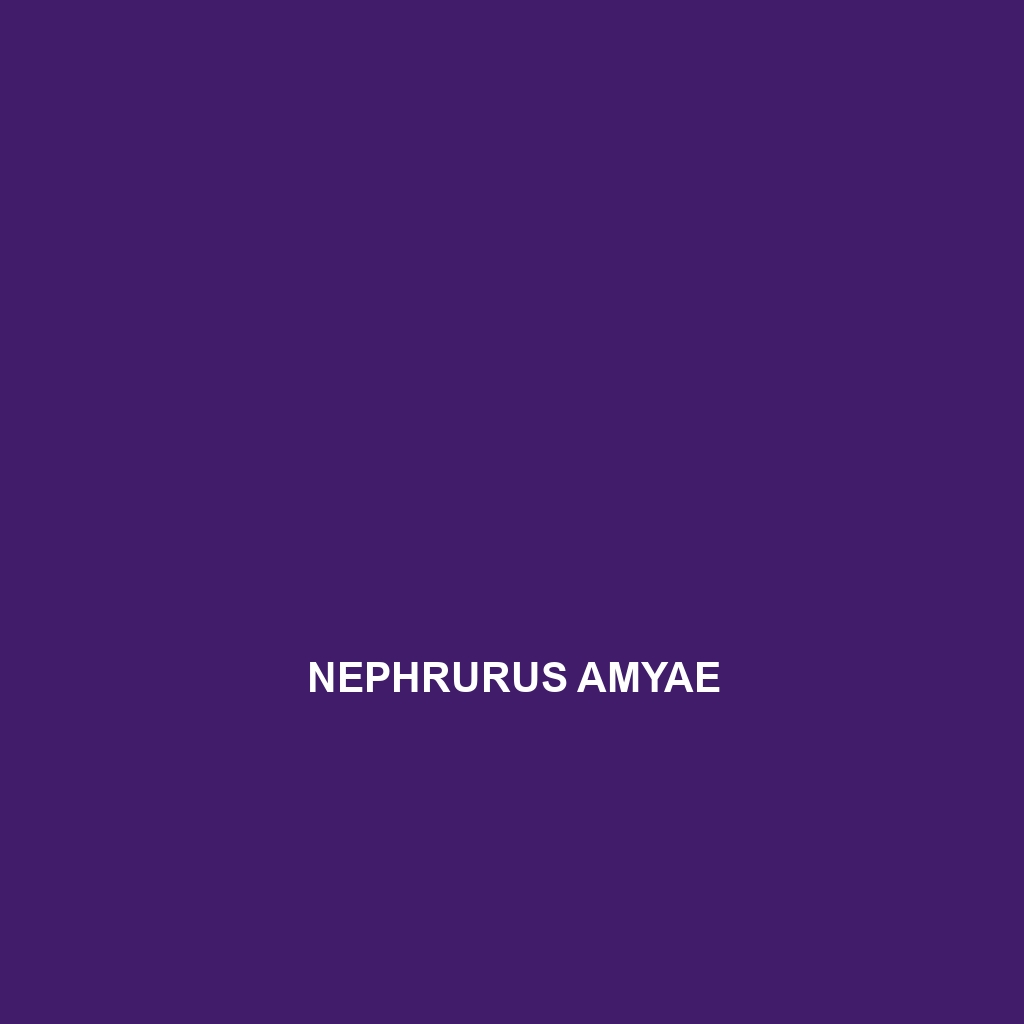 Nephrurus amyae