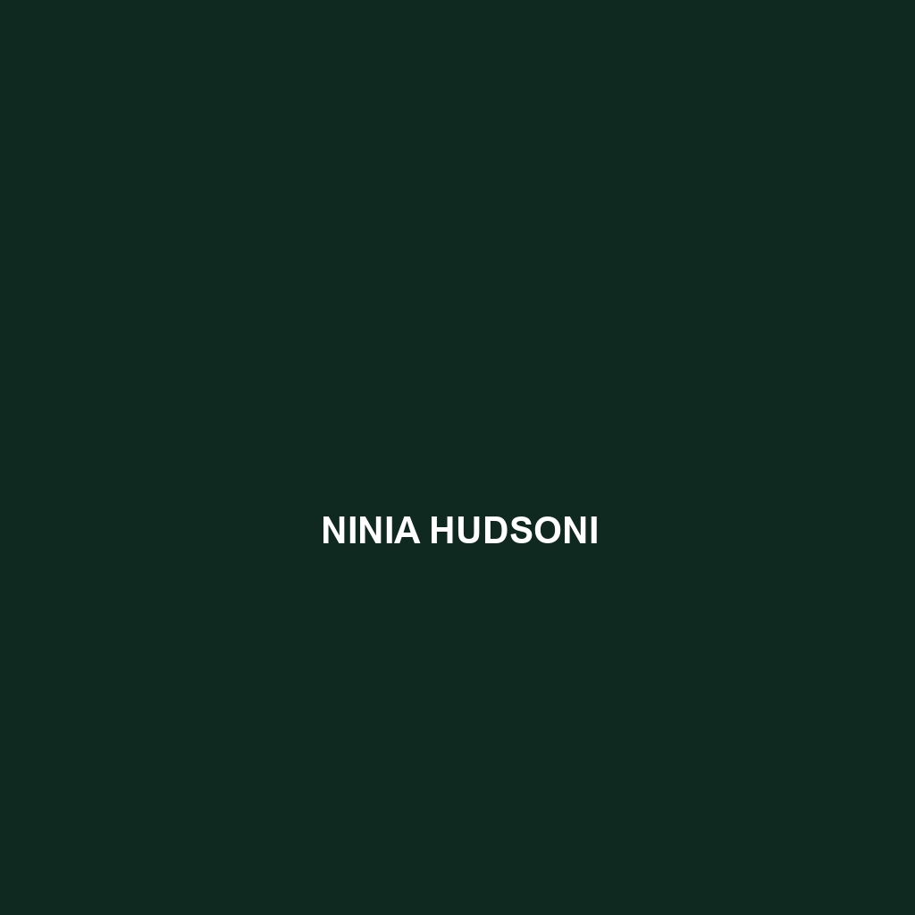 Ninia hudsoni