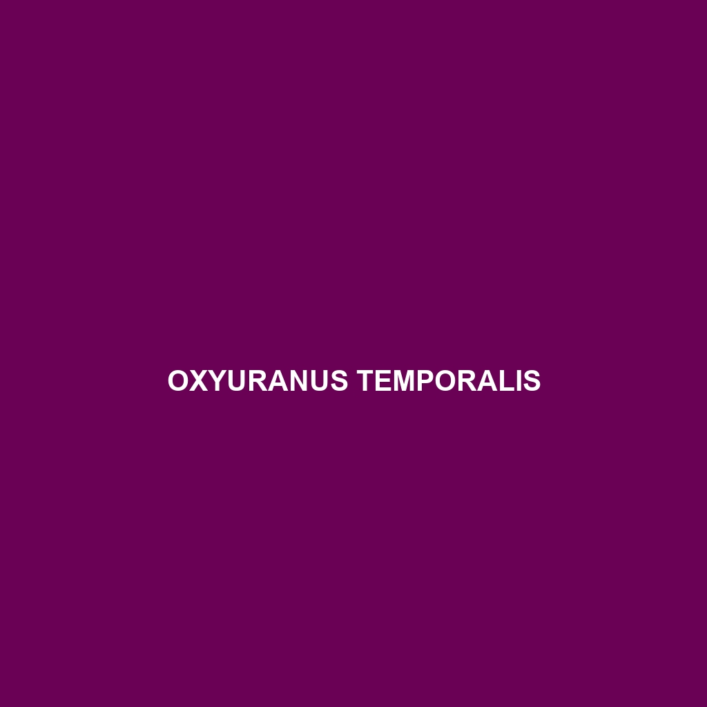 Oxyuranus temporalis