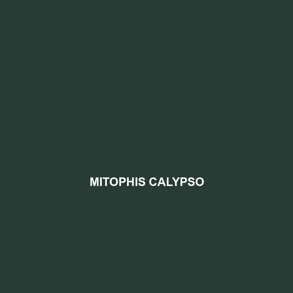 Mitophis calypso