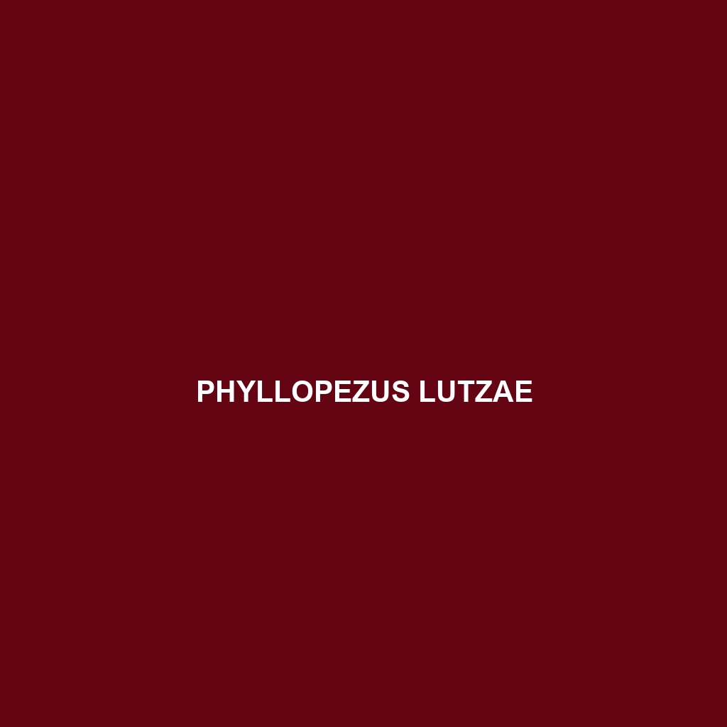 Phyllopezus lutzae