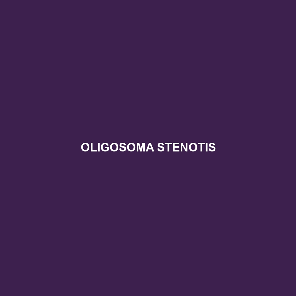 Oligosoma stenotis