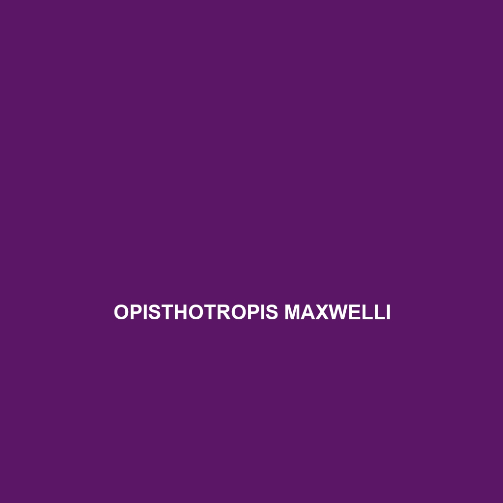 Opisthotropis maxwelli