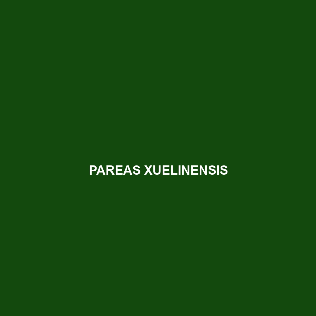 Pareas xuelinensis