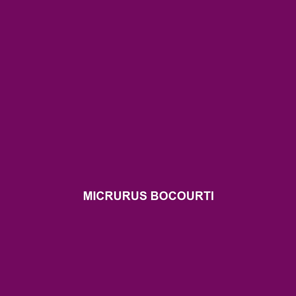 Micrurus bocourti