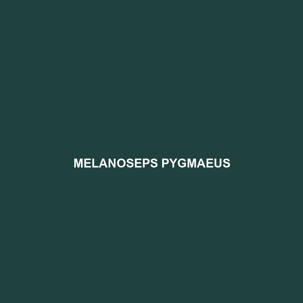 Melanoseps pygmaeus