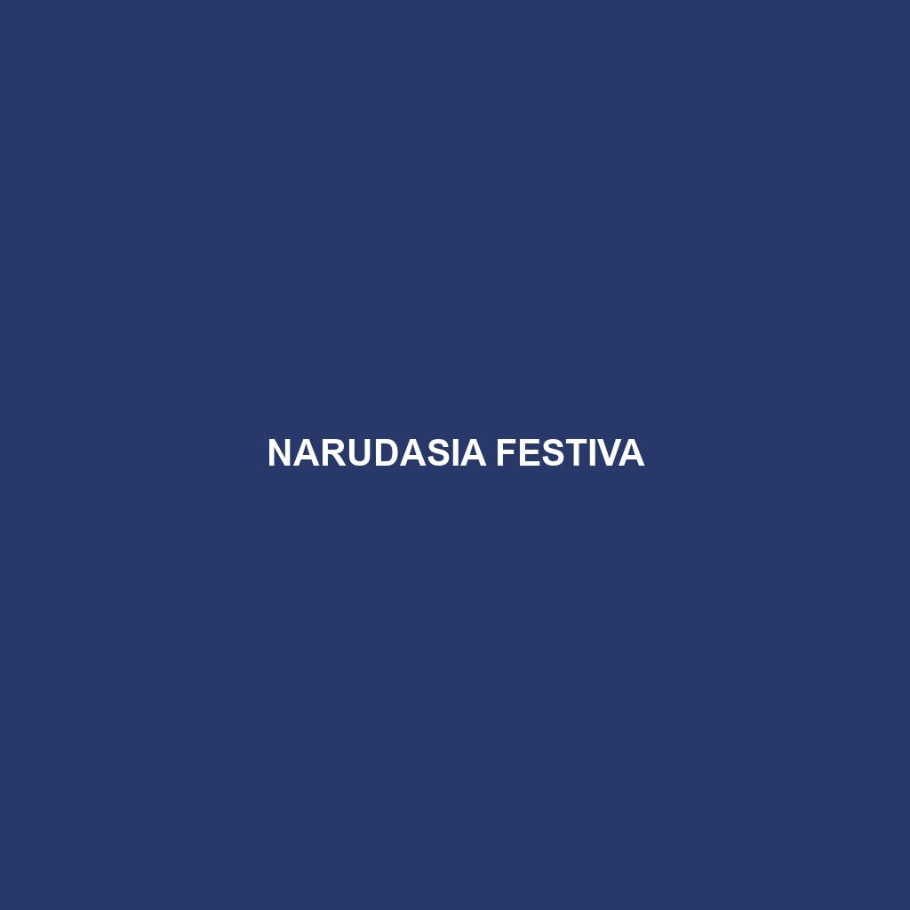 Narudasia festiva