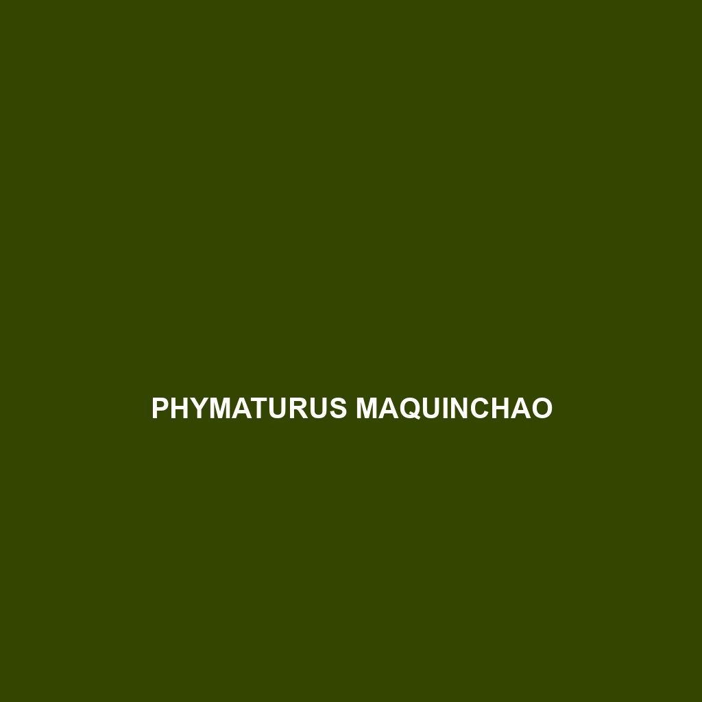 Phymaturus maquinchao