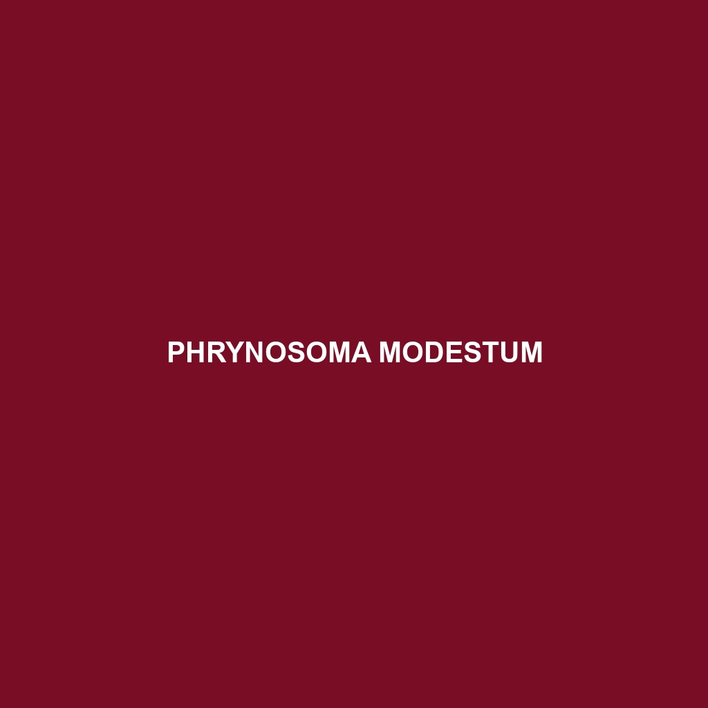 Phrynosoma modestum