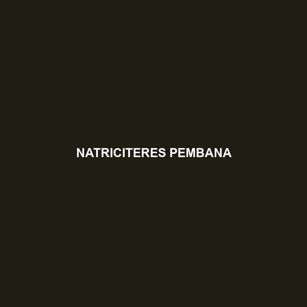 Natriciteres pembana