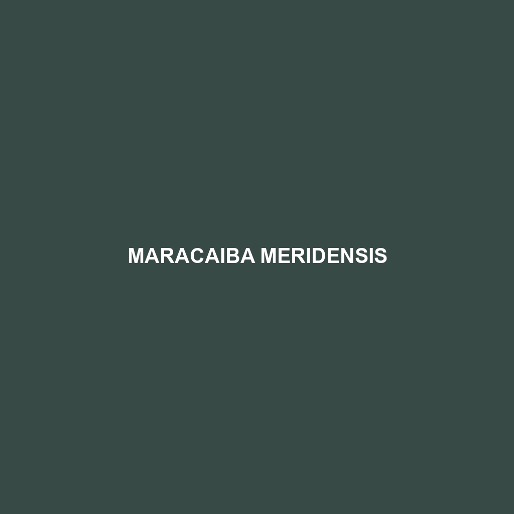 Maracaiba meridensis