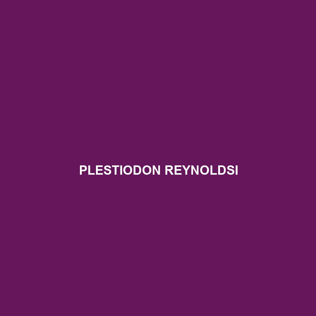 Plestiodon reynoldsi