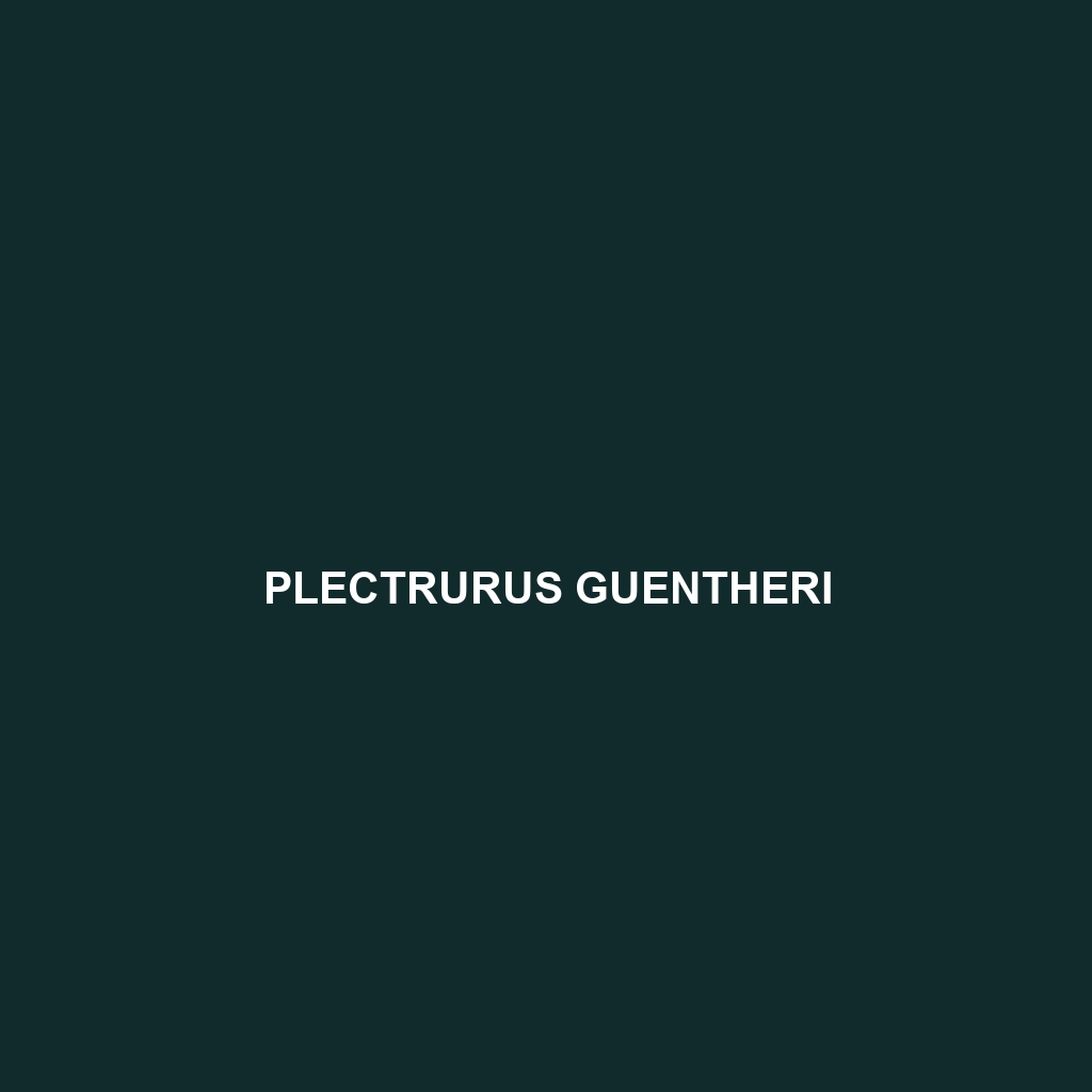 Plectrurus guentheri