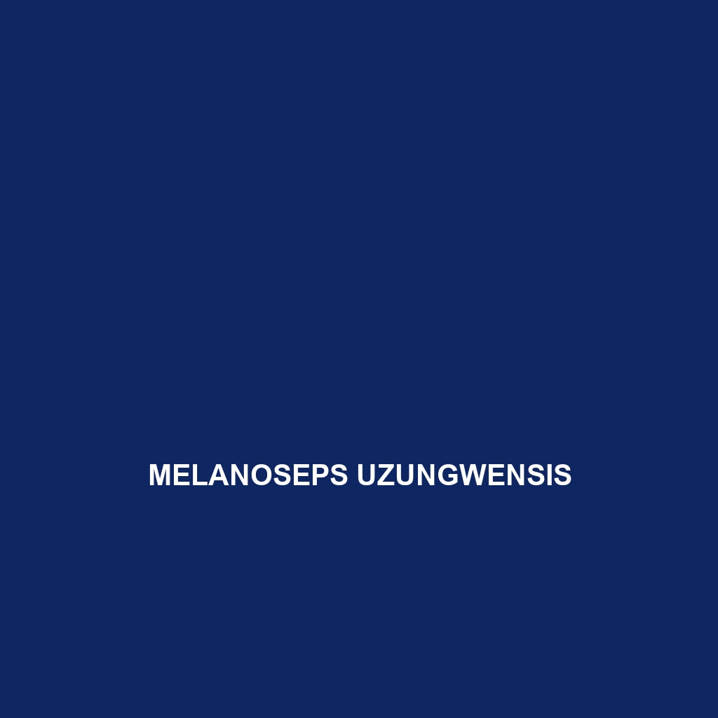 Melanoseps sokokensis