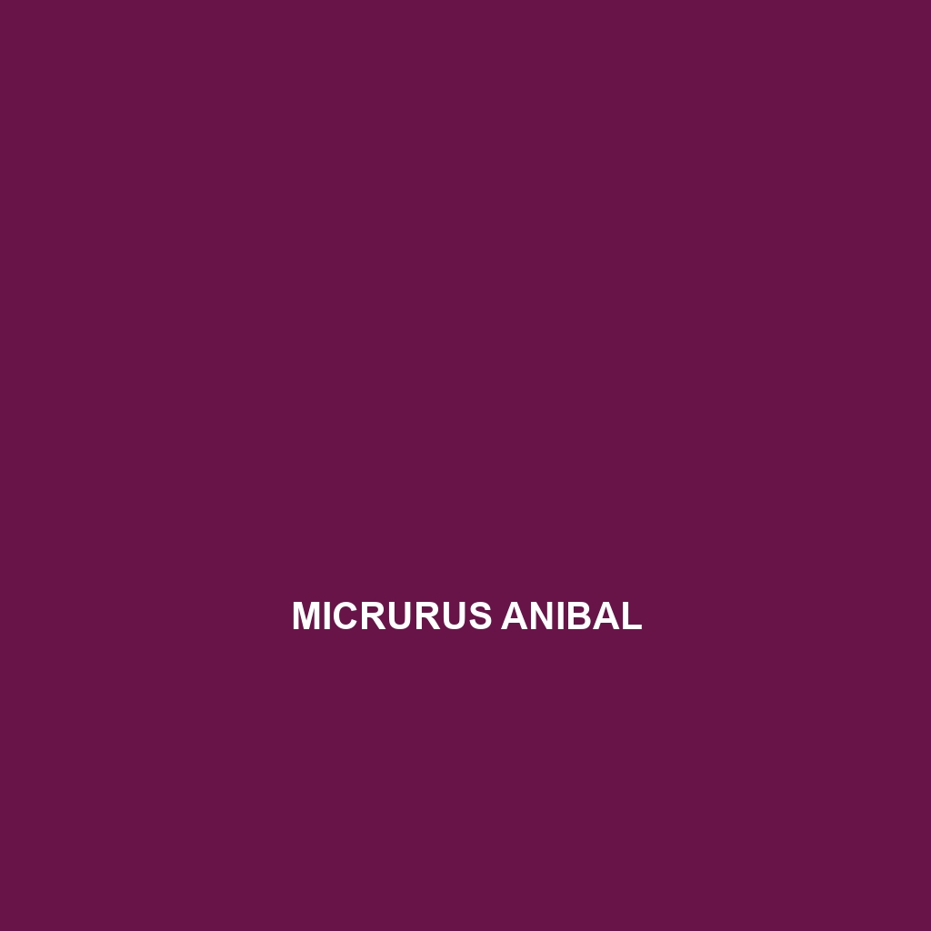 Micrurus anibal