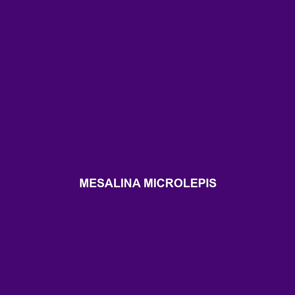 Mesalina microlepis