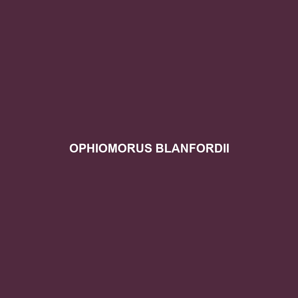 Ophiomorus blanfordii