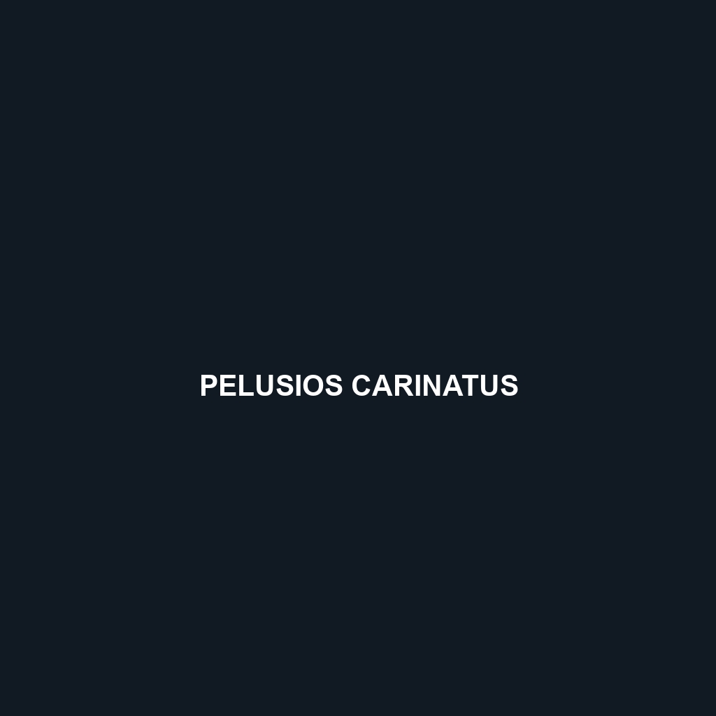 Pelusios carinatus