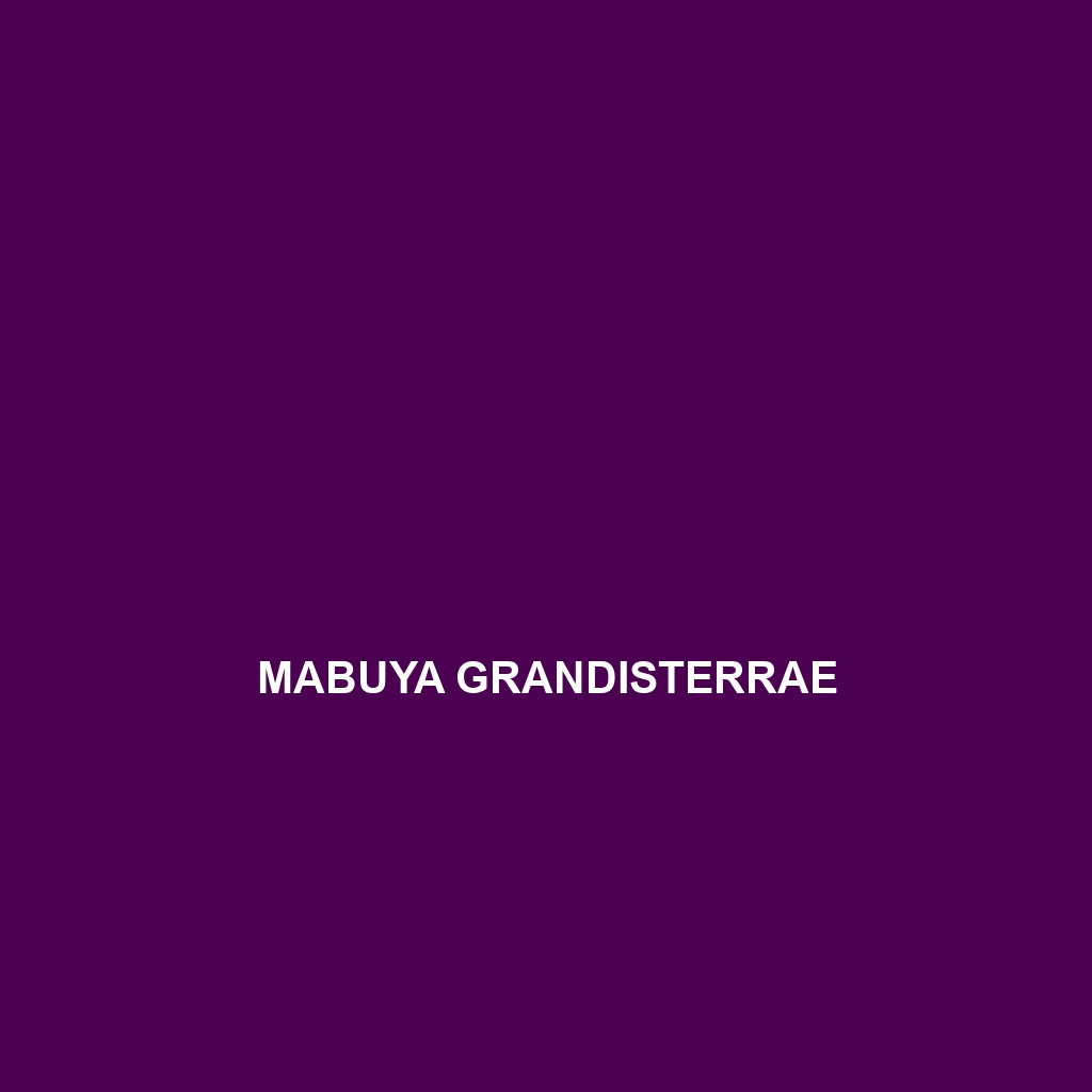 Mabuya grandisterrae