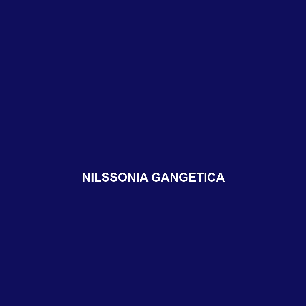 Nilssonia gangetica