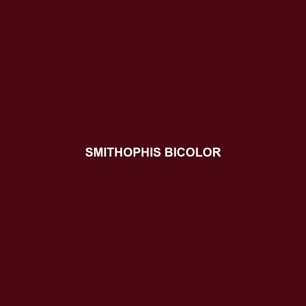 Smithophis bicolor