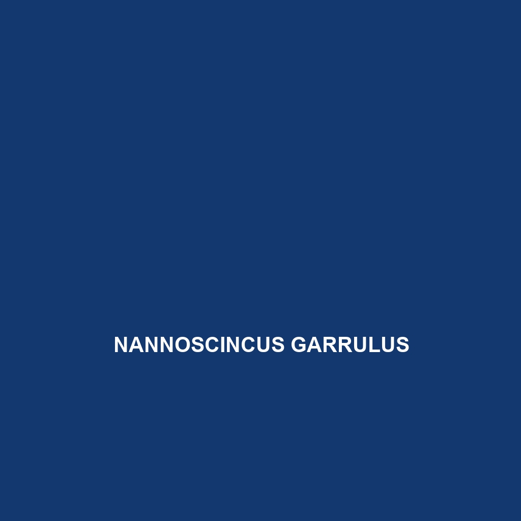 Nannoscincus garrulus