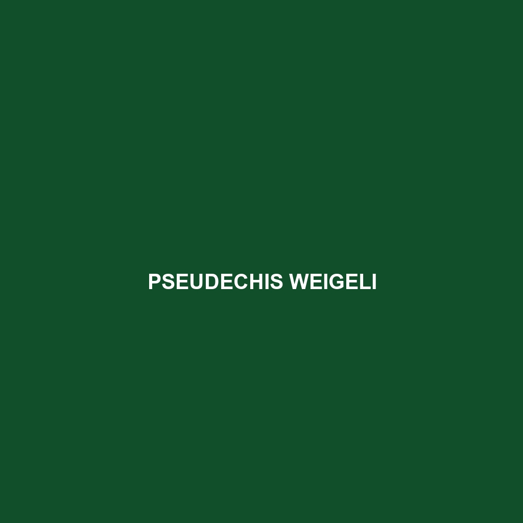 Pseudechis weigeli