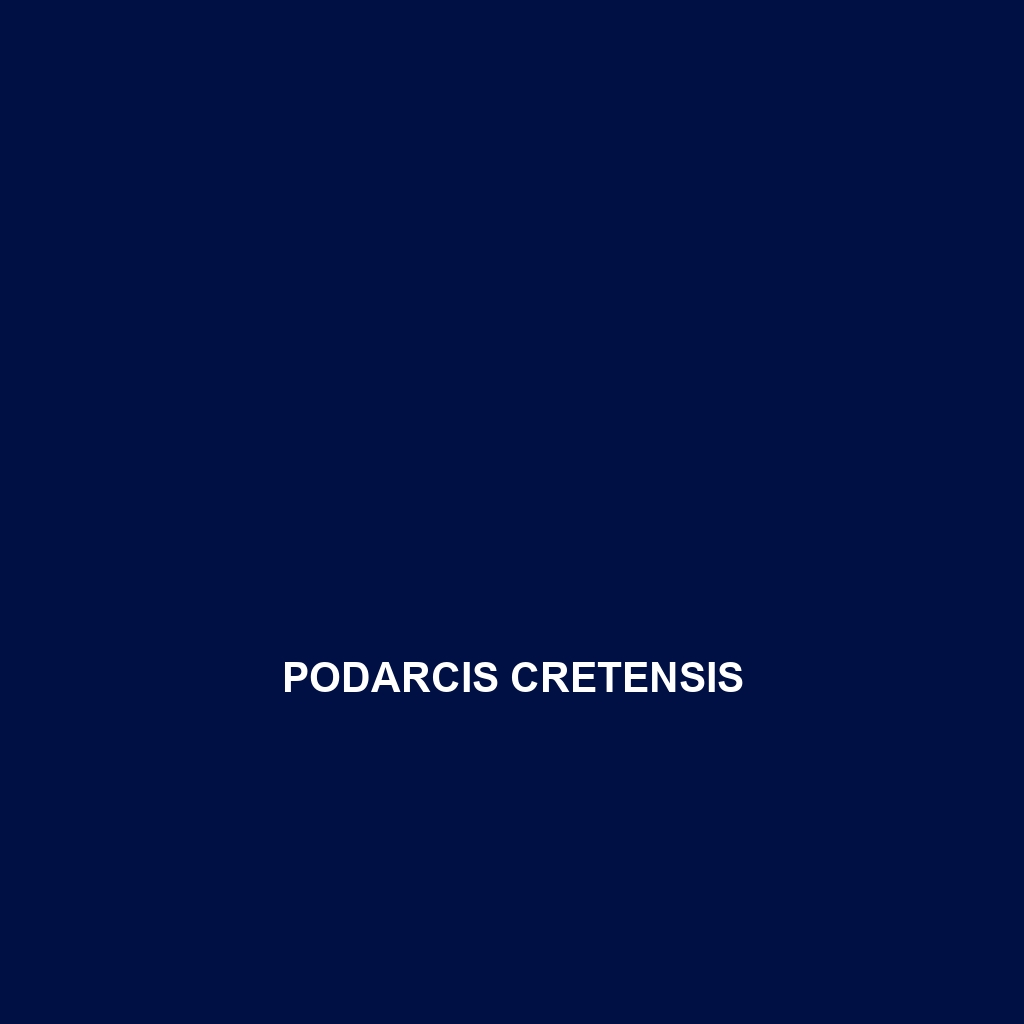 Podarcis cretensis