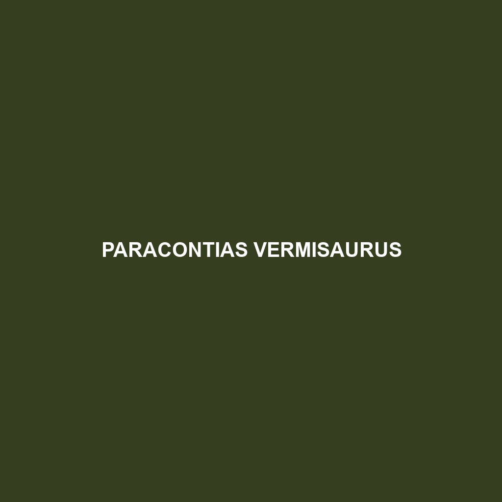 Paracontias vermisaurus