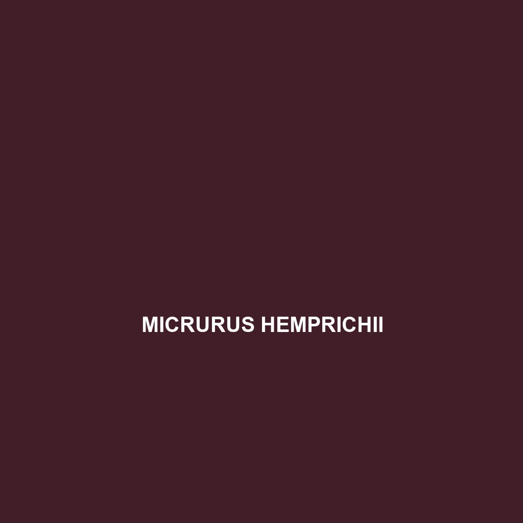 Micrurus hemprichii