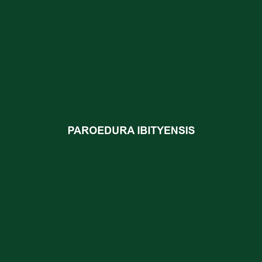 Paroedura ibityensis