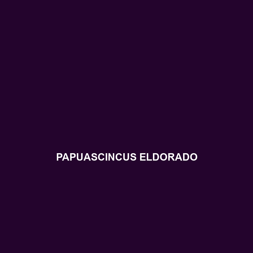 Papuascincus eldorado