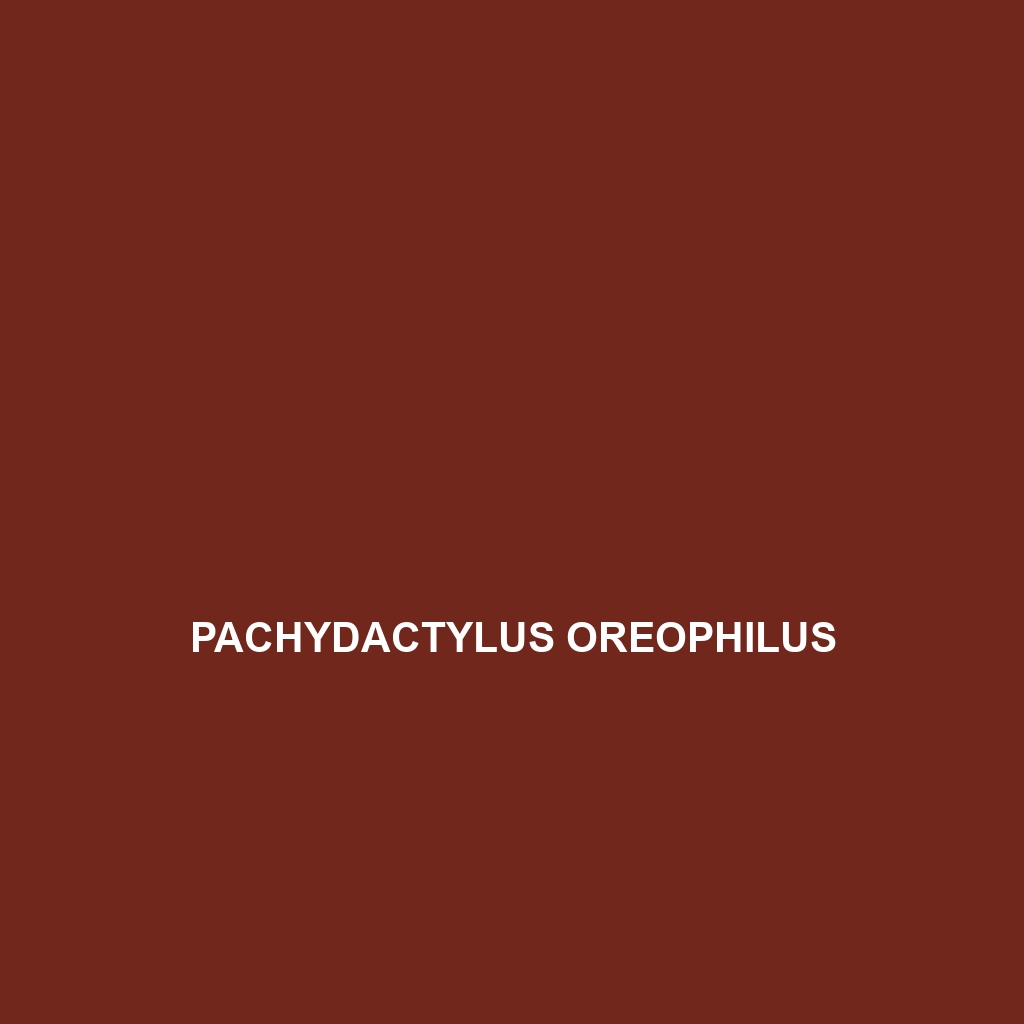 Pachydactylus oreophilus